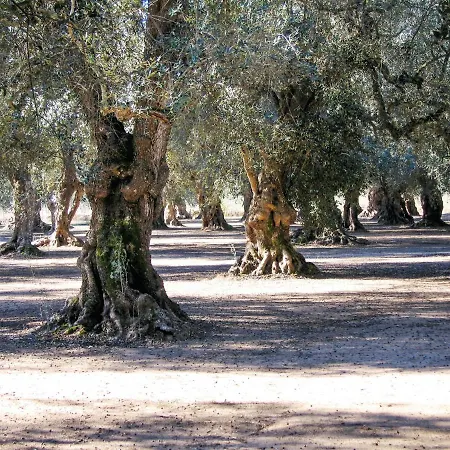 Σπίτι διακοπών Comfortable House With Fenced Garden - - Fireplace *