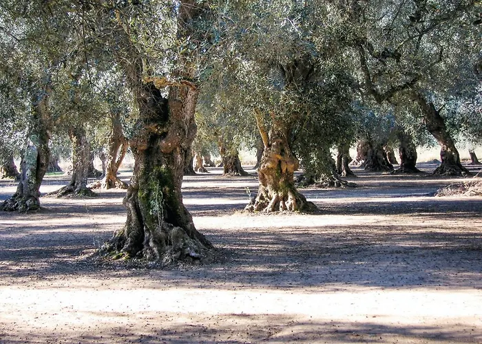 Feriehus Comfortable House With Fenced Garden - - Fireplace *