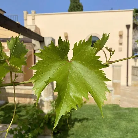 Comfortable House With Fenced Garden - - Fireplace Surano